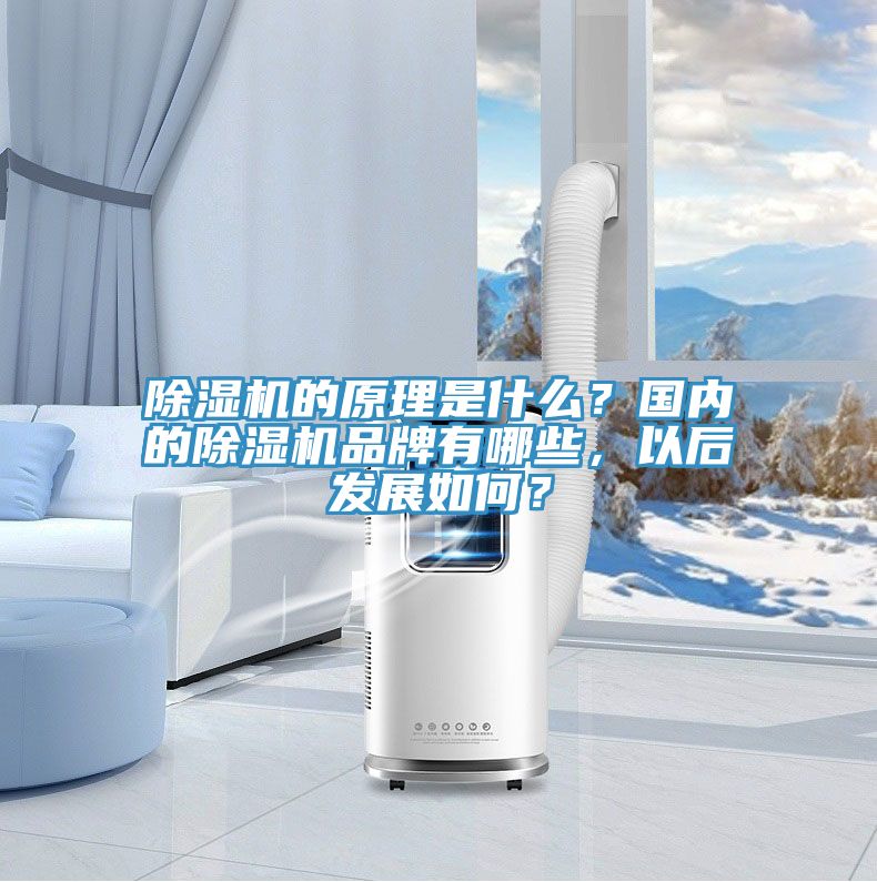 除濕機的原理是什么？國內的除濕機品牌有哪些，以后發展如何？