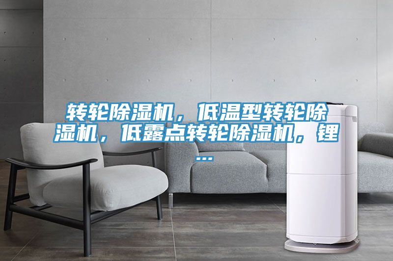 轉輪除濕機，低溫型轉輪除濕機，低露點轉輪除濕機，鋰 ...